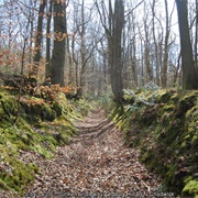 Oldbury Hill, Ightham, Kent