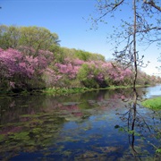 Red Haw State Park, Iowa