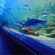 Greater Cleveland Aquarium
