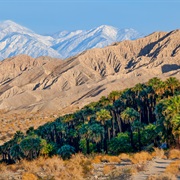 Sand to Snow National Monument