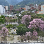 Ibague, Colombia