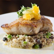 Atlantic Pollock (Pollachius Pollachius)