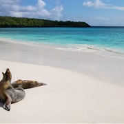 Bahia Gardner Española Island, Galapagos
