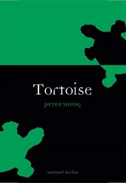 Tortoise (Peter Young)