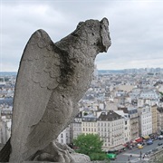 Notre Dame Summit ($)