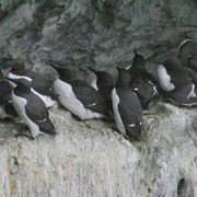 Anglesey and the Skerries, Wales