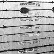 Barbed-Wire Collectors: Why We Fear Them