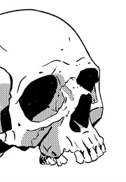 מכרות המלך שלמה (הנרי ריידר הגרד)