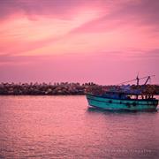 Visit Royapuram Fishing Harbour