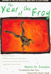 The Year of the Fog (Martin Šimečka)