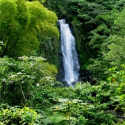 Trafalgar Falls, Dominica