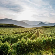 Südtiroler Weinstrasse