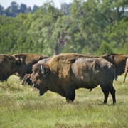Fort Niobrara National Wildlife Refuge