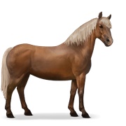 Haflinger - Flaxen Chestnut