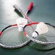 Play Badminton