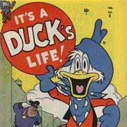 It's a Duck's Life