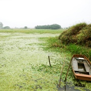 Upo Marsh