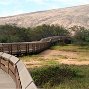 Kealia Pond National Wildlife Refuge
