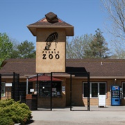 Pueblo Zoo