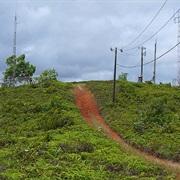 Palau: Mount Ngerchelchuus (794 Ft)