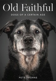 Old Faithful (Pete Thorne)