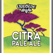 Odd Side Citra Pale Ale
