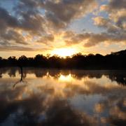 Sabi Sands Game Reserve, South Africa