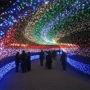 Walk Through Japan's Tunnel of Light
