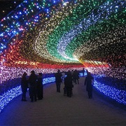 Walk Through Japan&#39;s Tunnel of Light