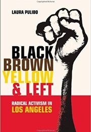 Black, Brown, Yellow and Left (Laura Pulido)
