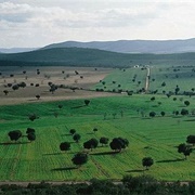 Cabañeros National Park