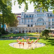 ZOO Antwerpen, Belgium