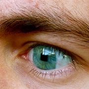 Watch 100 TV Series' in a Year