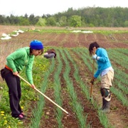 Farming