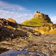 Linidsfarne National Nature Reserve