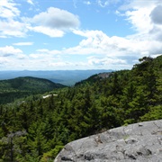 Rollins State Park, New Hampshire