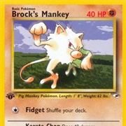 Brock's Mankey