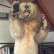 Valley Center Historical Museum