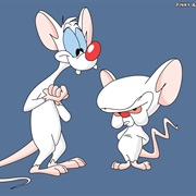 Pinky and the Brain