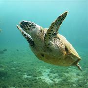 Saunders Islands National Park (QLD)
