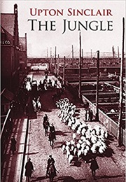 Illinois: The Jungle (Upton Sinclair)