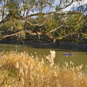 Murrumbidgee Valley National Park (NSW)