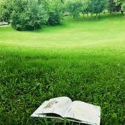 Read a Book at the Park
