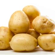 Jersey Royal Potato