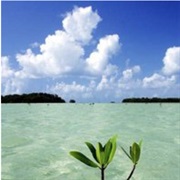 Florida Keys, FL, USA