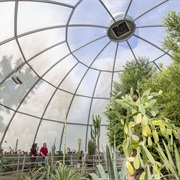 Potawatomi Conservatory, South Bend