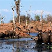 Matusadona National Park, Zimbabwe