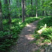 Trails Advocacy Week (February)