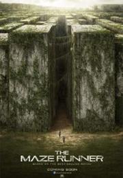 Maze Runner