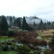 Deep River, Washington